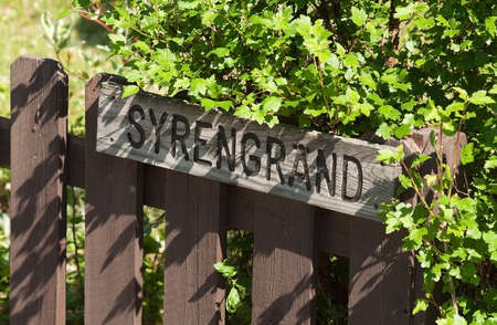 Lilac street street sign by Swedish rural summer cabin..の写真素材