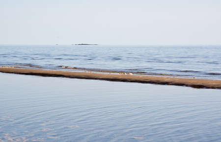Sand dune and bird life on beach in Falkenberg Swedish west coast Sweden.の写真素材