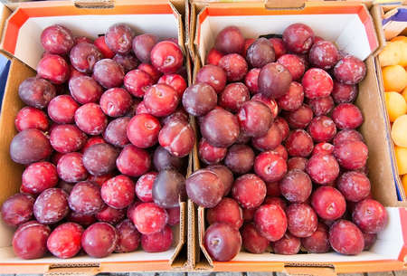 Red plums. Heap of plums in a farmer's market.の写真素材