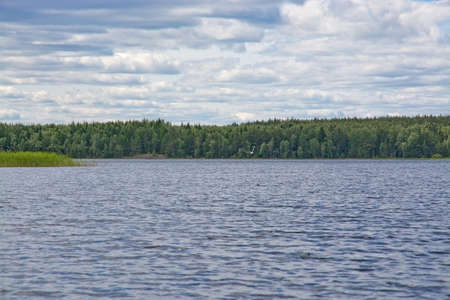 Lake landscape, island, cloudy sky and seagull in flight in Varmland, Sweden.のeditorial素材