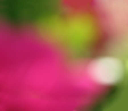 Abstract pink green colorful background copy space.の写真素材