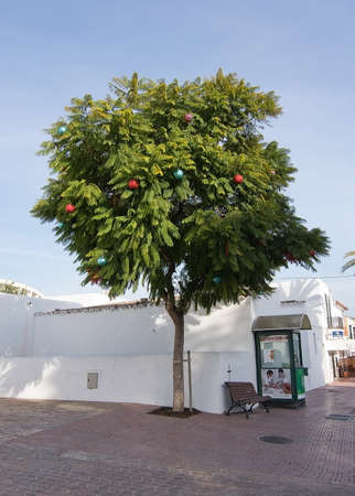SANT JOSEP DE LA TALAIA, IBIZA, SPAIN - DECEMBER 16, 2015: Jacaranda tree with Christmas baubles on a sunny day on December 16, 2015 in Sant Josep de la Talaia, Ibiza, Spain.のeditorial素材