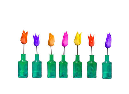 Green glass bottles and colorful tulips lined up in a row isolated on white.