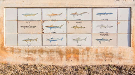 PALMA DE MALLORCA, BALEARIC ISLANDS, SPAIN - DECEMBER 22, 2015: Marine life tiles in Portixol  on a sunny day on December 22, 2015 in Palma de Mallorca, Balearic islands, Spainのeditorial素材