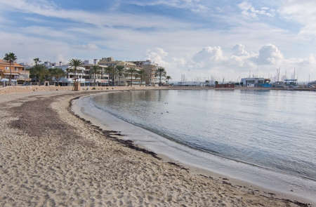 CAN PASTILLA, MALLORCA, BALEARIC ISLANDS, SPAIN - DECEMBER 14, 2015: Winter sandy beach seagrass and birds on December 14, 2015 in Balearic islands, Spainのeditorial素材