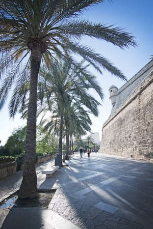PALMA DE MALLORCA, BALEARIC ISLANDS, SPAIN - MAY 1, 2016: Es Baluard medieval tower in Palma de Mallorca, Balearic islands, Spain on May 1, 2016.のeditorial素材