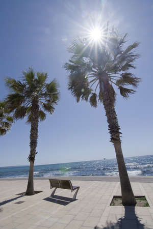Radiant sunshine, palms and seaside bench in Palma de Mallorca, Spain in April.の写真素材