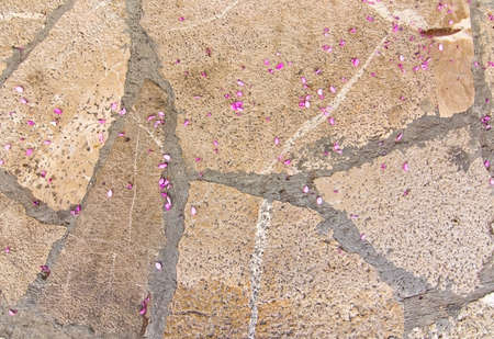 Floor stone with pink flowers abstract background wall texture with copy space.