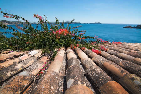 Charming shabby terracotta roof tiles, red orange bougainvillea and ocean view on a sunny summer day in Mallorca, Spain.の写真素材