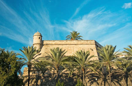 PALMA DE MALLORCA, BALEARIC ISLANDS, SPAIN - DECEMBER 11, 2016: Palm trees and tower of the building...