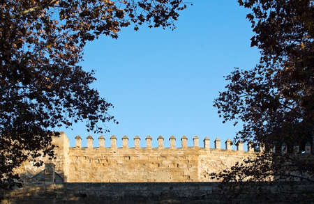 Medieval building exterior and blue sky framed by autumn leaves in Palma de Mallorca, Balearic...
