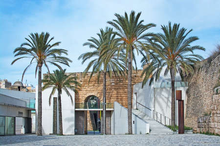 PALMA, MALLORCA, SPAIN - JANUARY 3, 2017: Exterior view of art museum Es Baluard with palm trees on February 1, 2017 in Palma, Mallorca, Spain.のeditorial素材