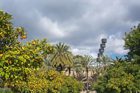 PALMA, MALLORCA, SPAIN - JANUARY 28, 2017: Ripe oranges on trees and Es Baluard art museum on January 28, 2017 in Palma, Mallorca, Spain.のeditorial素材