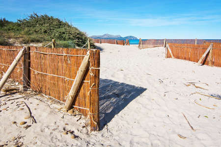 Empty sandy Mediterranean beach in spring sunshine in Majorca, Spain.の写真素材