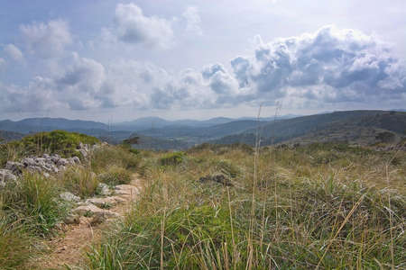 Green spring mountain landscape in Mallorca, Balearic islands, Spain.の写真素材