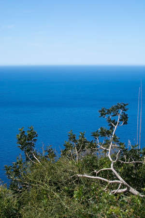 Walking path nature landscape view in Tramuntana mountains between Soller and Cala Tuent, Mallorca, Spain.の写真素材