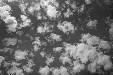 Clouds on evening sky in black and white background textureの写真素材