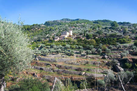Natural beautiful landscape in October in Mallorca, Spain.の写真素材