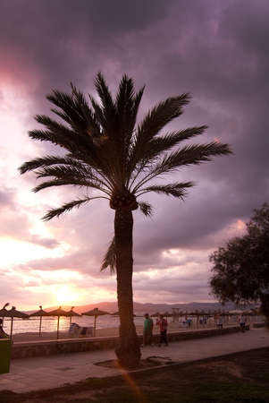PALMA DE MALLORCA, SPAIN - SEPTEMBER 22, 2017: Colorful sunset beach with people and parasols, ocean and skies on September 22, 2017 in Palma de Mallorca, Spain.のeditorial素材
