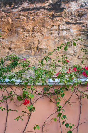 Stone wall background with flowers and warm terracotta colors in Mallorca, Balearic islands, Spainの写真素材