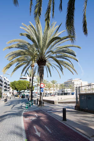 CAN PASTILLA, MALLORCA, BALEARIC ISLANDS, SPAIN - NOVEMBER 23 2017: Bike tracks in Can Pastilla on a sunny day on November 23, 2017 in Mallorca, Balearic islands, Spain.のeditorial素材