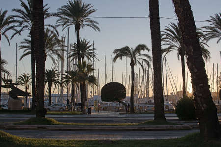 PALMA DE MALLORCA, BALEARIC ISLANDS, SPAIN - DECEMBER 5, 2017: Paseo Maritimo dusk palm trees and...