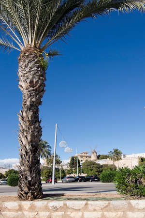 MALLORCA, BALEARIC ISLANDS, SPAIN - NOVEMBER 8, 2017: Building details in Santa Catalina on a sunny day in Palma de Mallorca on November 8, 2017 in Mallorca, Balearic islands, Spain.のeditorial素材