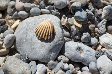 Beach rocks closeup in Mallorca, Balearic islands, Spain.