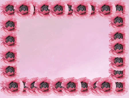 Pink poppies on pink oil painting canvas background copy space textureの写真素材