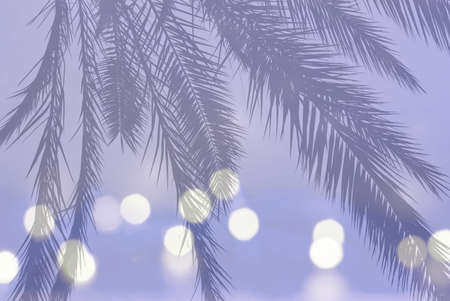 Palm leaf silhouette on festive blurry lights on soft blue ultraviolet background with copy spaceの写真素材