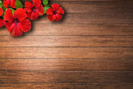 Red hibiscus flower on caulked mahogany wood background texture closeup.の写真素材