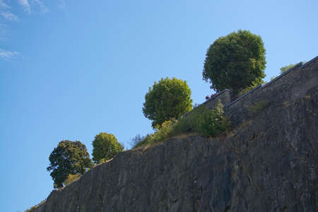 Trees diagonally on top of a cliff and blue sky.の写真素材