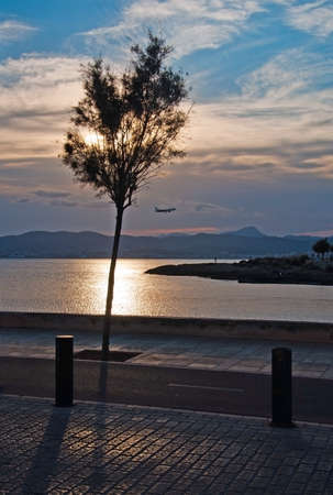 Beautiful sunset view over Palma bay on a sunny summer evening in July, Mallorca, Spain.の写真素材