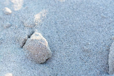 Sunlit sandy beach grains macro closeup background texture