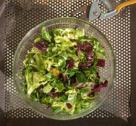 Mixed green and purple salad in glass bowl on rusty iron background.の写真素材