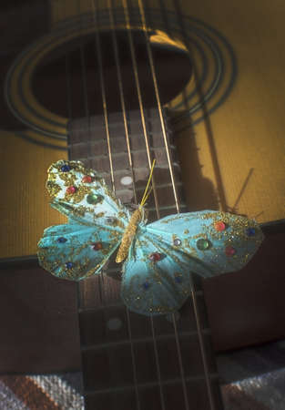 Turquoise butterfly on strings of acoustic guitar, concept for poetry, musicality, singer songwriter creativity.の写真素材