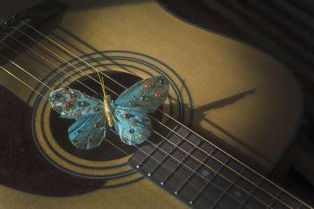 Turquoise butterfly on strings of acoustic guitar, concept for poetry, musicality, singer songwriter...