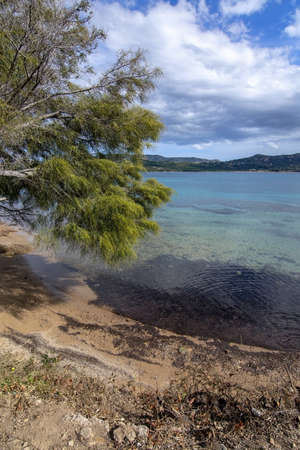 Landscape with tree and sandy beach in Sardinia, Italy, on an overcast day in March.の写真素材