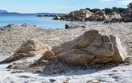 Green water and dry seagrass on a winter beach in Sardinia, Italy in March.の写真素材