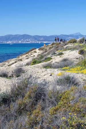 PALMA DE MALLORCA, SPAIN - MARCH 17, 2019: People in Es Carnatge nature reserve with yellow spring flowers with view to turquoise bay on a sunny day on March 17, 2019 in Palma de Mallorca, Spain.のeditorial素材