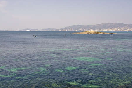 CAN PASTILLA, MALLORCA, SPAIN - MARCH 23, 2019: Stand up paddleboard surfers in the water on a sunny day on March 23, 2019 in Can Pastilla, Mallorca, Spain.のeditorial素材