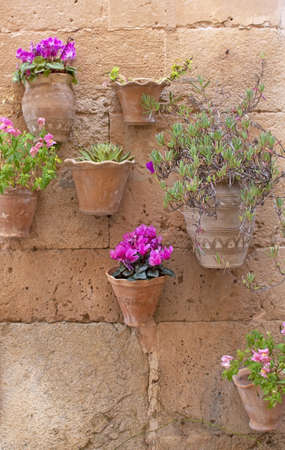 Beautiful terracotta flowerpots with pink cyclamen flowers on stone wall in Valldemossa Mallorca.の写真素材