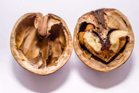 Close up nutmeat and nutshell with shallow depth of field.の写真素材