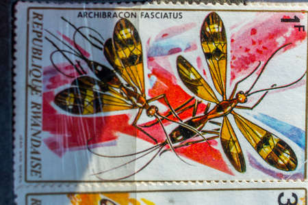 Collection of old postage stamps from different countries and themesのeditorial素材
