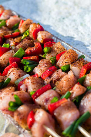 Close up pf delicious chicken breast on wooden skew with fresh vegetables, garlic, paprika fried on mangal barbeque grillの写真素材