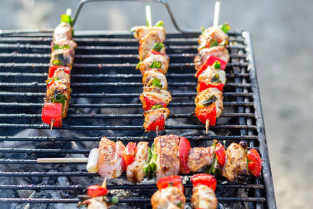 Close up pf delicious chicken breast on wooden skew with fresh vegetables, garlic, paprika fried on mangal barbeque grillの写真素材