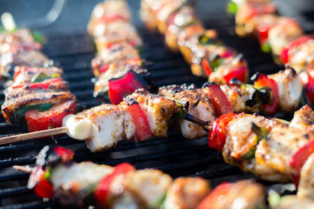 Close up pf delicious chicken breast on wooden skew with fresh vegetables, garlic, paprika fried on mangal barbeque grillの写真素材