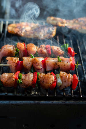 Close up pf delicious chicken breast on wooden skew with fresh vegetables, garlic, paprika fried on mangal barbeque grillの写真素材