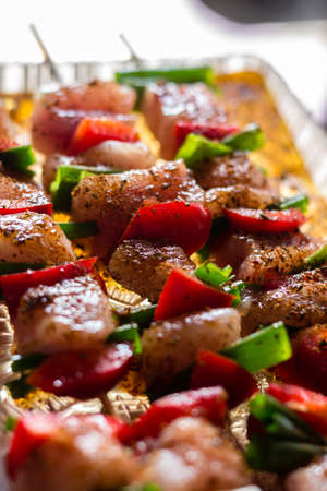 Close up pf delicious chicken breast on wooden skew with fresh vegetables, garlic, paprika fried on mangal barbeque grillの写真素材