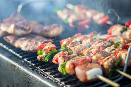 Close up pf delicious chicken breast on wooden skew with fresh vegetables, garlic, paprika fried on mangal barbeque grillの写真素材